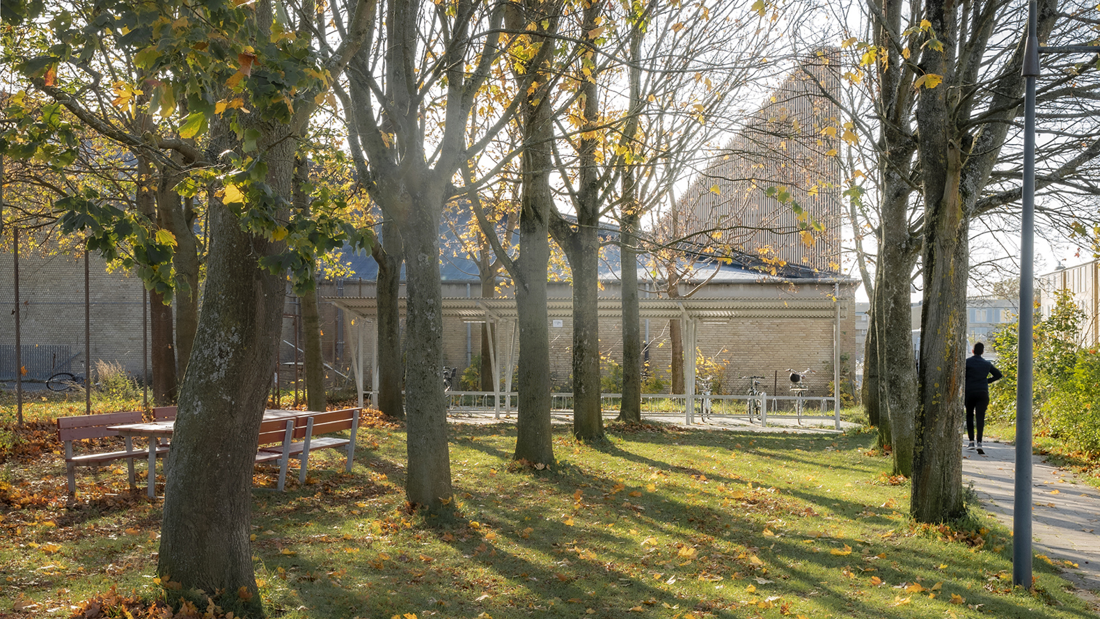 10 Jens Markus Lindhe