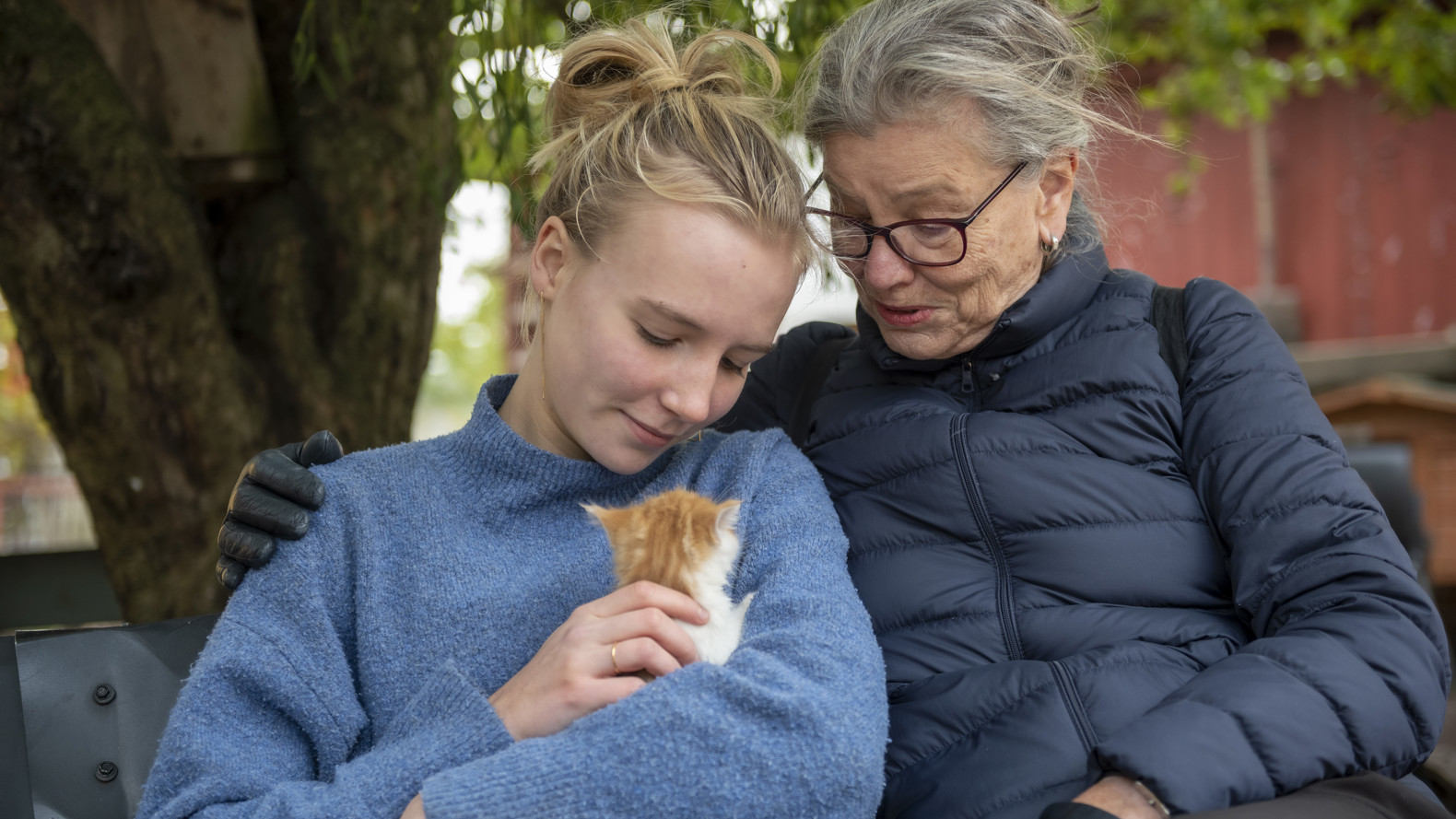 20191015 172217 7 8256X5504ma (1)