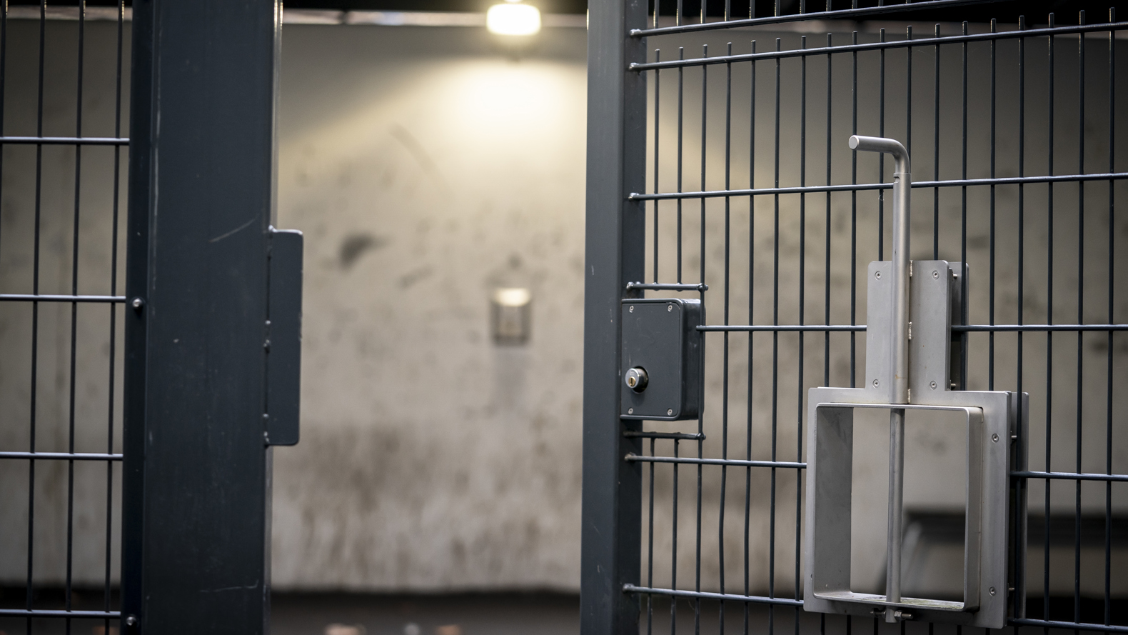 20220119 101217 L 5893X3929ma