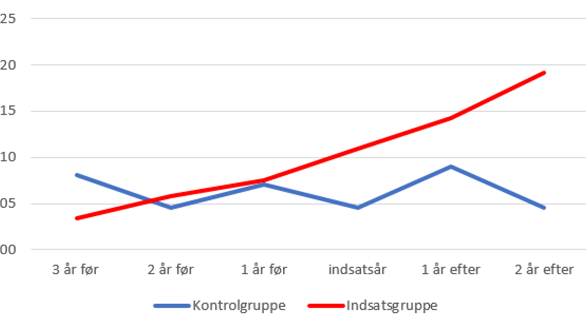 Diagram2 Netværksmødre