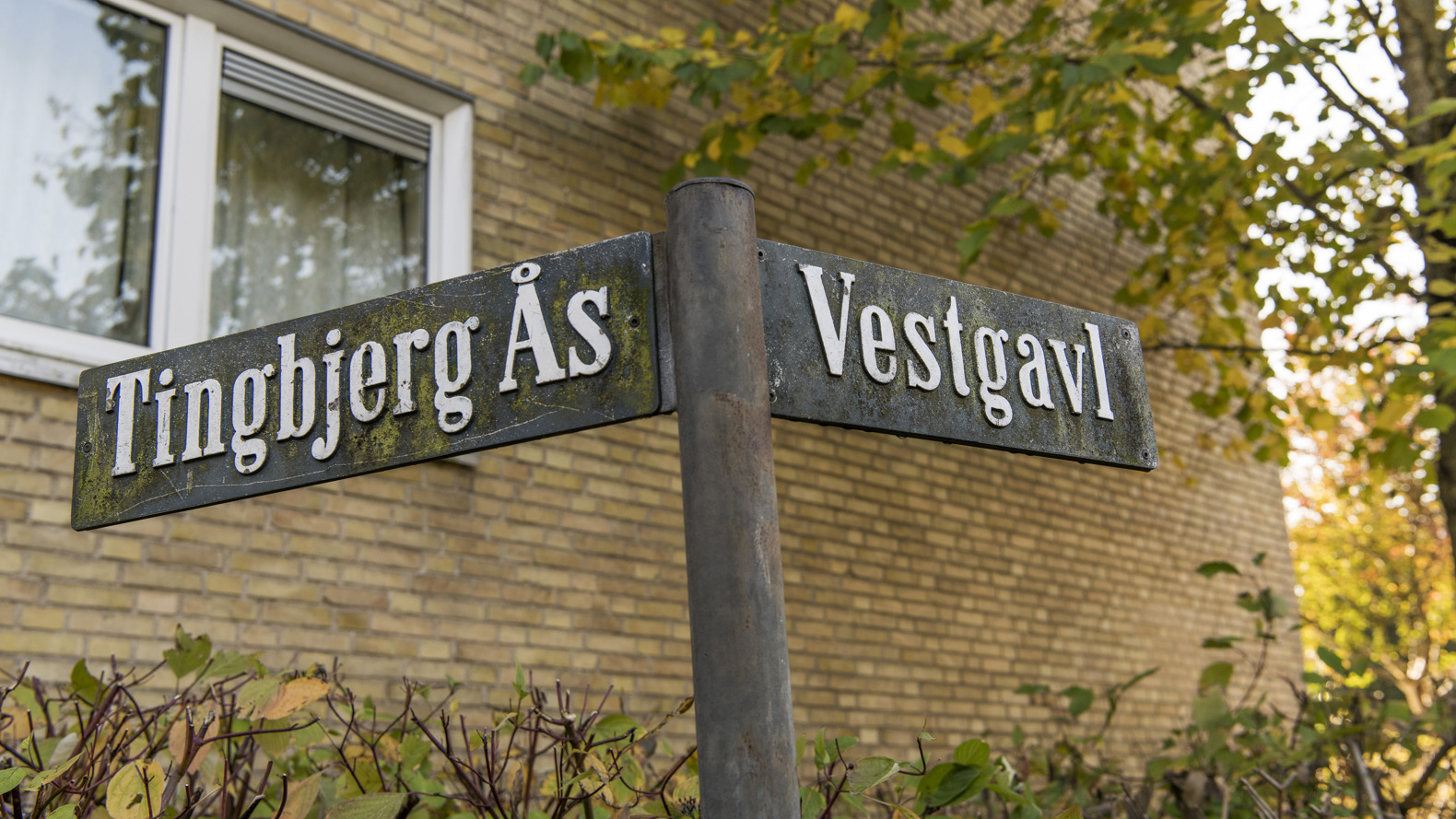 BL Tingbjerg 111018 004