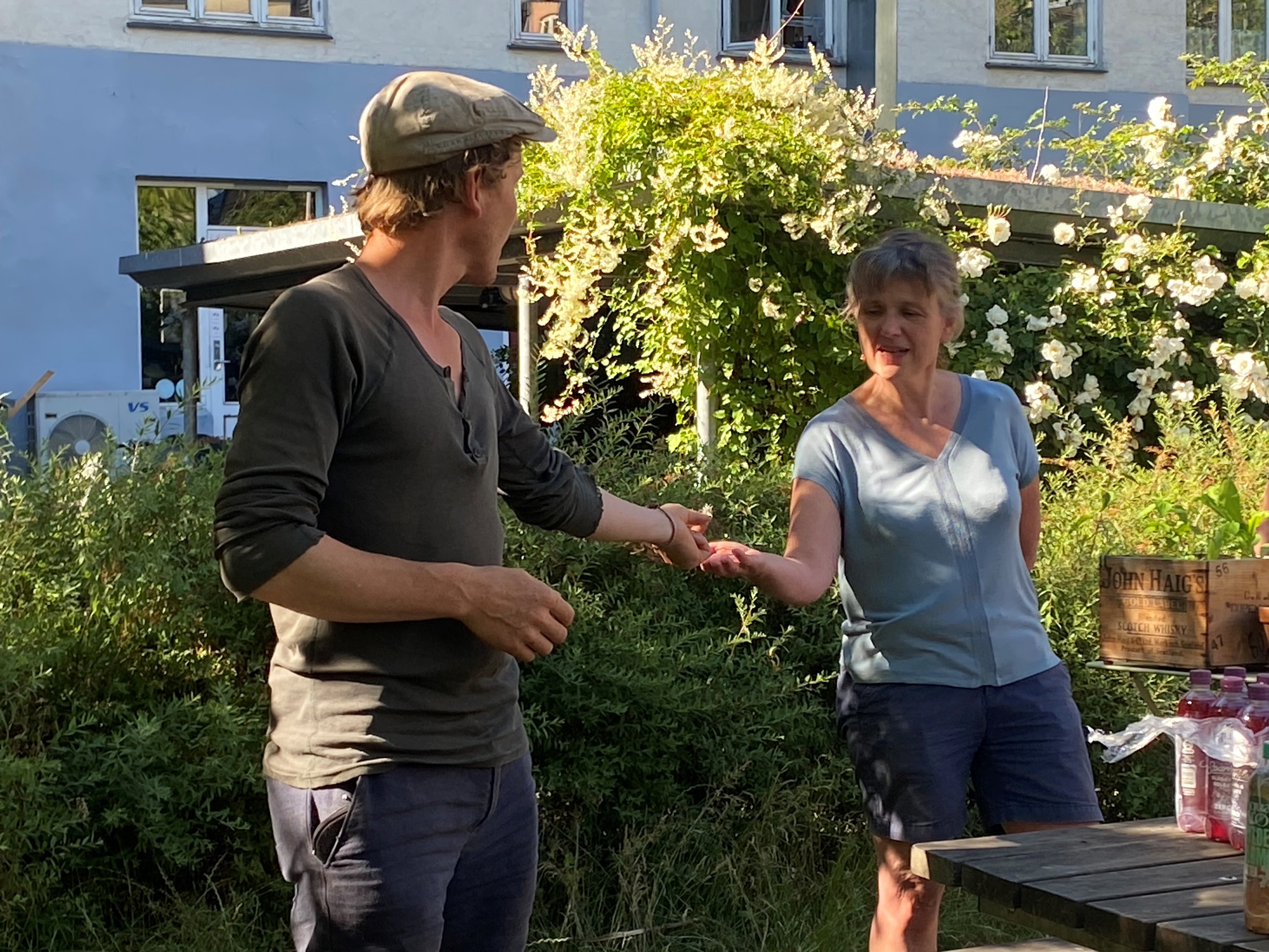 Frank Giver Frø Til Marianne