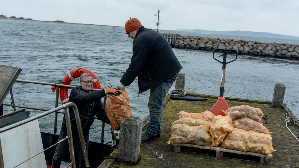 Tunø2026 Larsmathiasen (43)